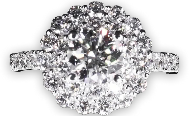 Floral Double Halo Diamond Engagement Ring with Pavé-Set Band - W0587