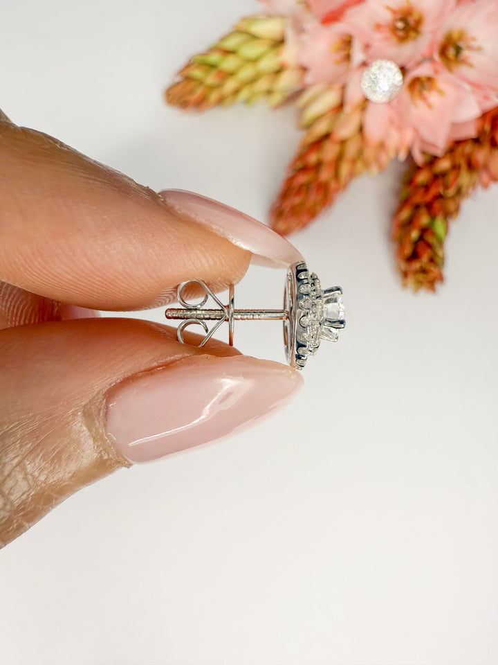 thumb_group:2|grid_preview:true